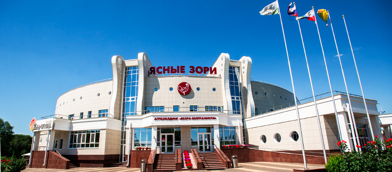 Жалаңаш румын гимнасттарының суреттері